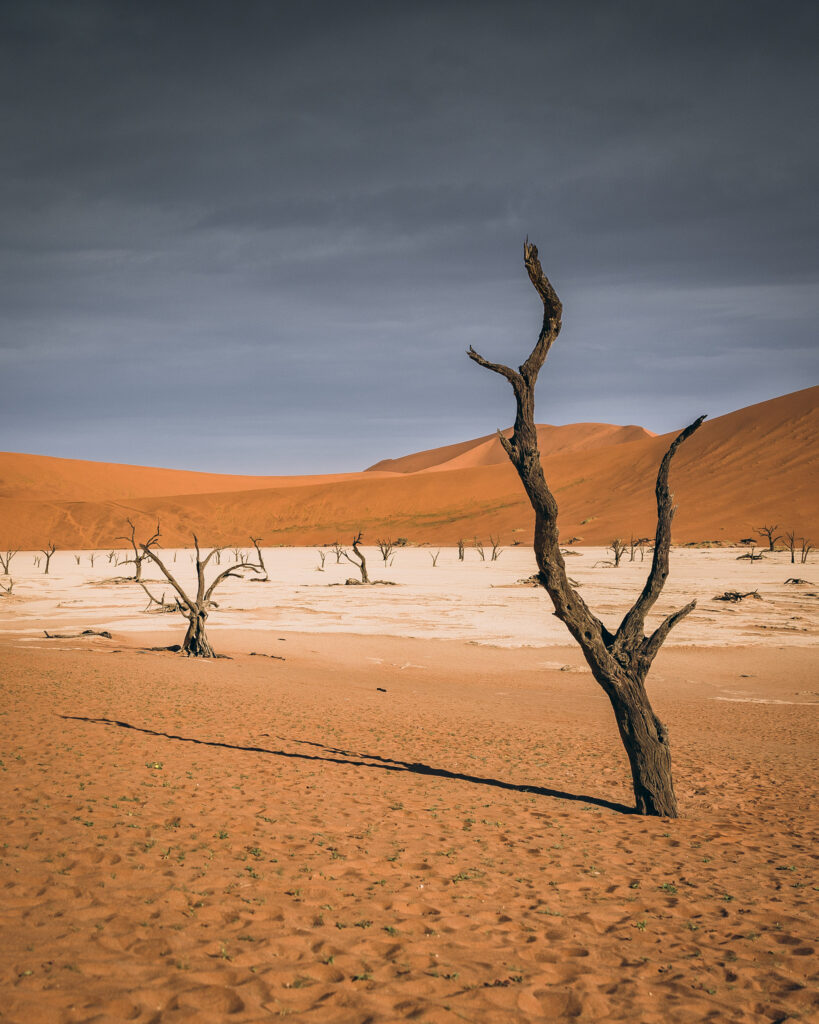 Namibia